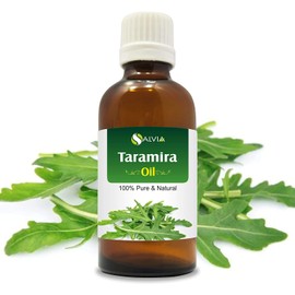 Taramira (Eruca Sativa) Essential Oil 100% Pure & Natural - Undiluted Uncut Cold Pressed Aromatherapy Premium Oil - Therapeutic Grade - 100 ML