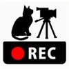 CraftBunny q18r Car Sticker with Dash Cam Cat and Video