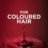 L'Oreal Paris Hair Expertise Color Radiance Shine Reviver Treatment, 150