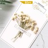 MAKCNMYM 50 Pieces Dried Babys Breath Flower Mini Dry Flowers