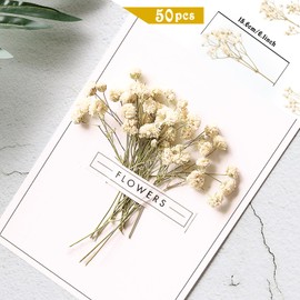 MAKCNMYM 50 Pieces Dried Babys Breath Flower Mini Dry Flowers Bouquet 3D Stereo Primary Colours Baby Breath Artificial Flower White Wedding Plants for DIY Resin Crafts Napkins Invitations Home Decor