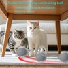 Interactive Cat Dog Toy Ball: Indoor Small Automatic Moving Smart