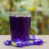 Premium Thai Butterfly Pea Flower Blue Herbal Tea by Royal