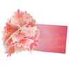 Greeting Life Autumn Autumn Cards Flower Pop-Up Cosmos LY-44 Pink