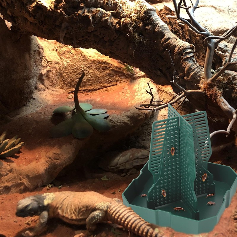 Chameleon Feeding Bearded Dragon Bug Bowl Reptile Feeder Box with