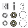 41.1mm Piston Kit Crank Bearing Fit for Poulan 220 221