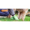 Forever Young Distribution Dog Waste Bags (4 Pack)