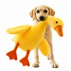2 Pcs Cute Duck Plush Pet Toy for Dogs &