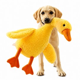 2 Pcs Cute Duck Plush Pet Toy for Dogs & Cats – Soft Interactive Companion Toy for Home Play, Comfort and Indoor Entertainment