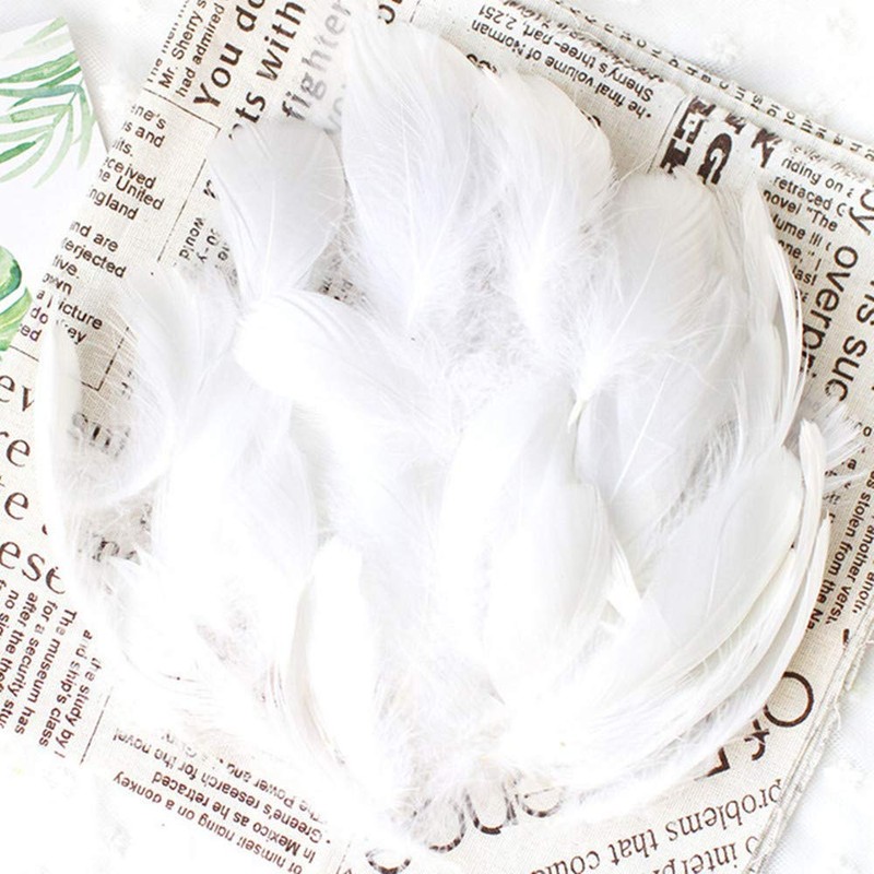 Kingsie Natural Feather 100-Piece Set Feather Shower Handicraft Material Wedding