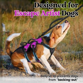 rabbitgoo Escape Proof Dog Harness, Soft Padded Full Body Pet Harness, Reflective Adjustable No Pull Vest with Lift Handle and Lesh Clip for Large Dogs Walking Hiking Training, S, Purple
