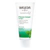 Weleda (Uk) Plant Gel Toothpaste 75ml (6 pack)