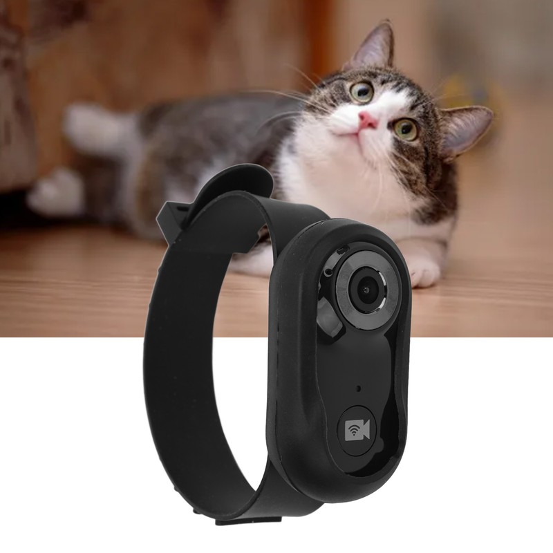 Pet Collar Camera with 8G Memory Card HD 1080P Mini