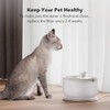 PETLIBRO 8 Packs Replacement Filters for Dockstream Cat Water Fountain
