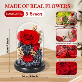 TERRALYX Preserved Roses in Glass Dome,Eternal Rose & Peony with Led Light,Forever Flowers,Long Lasting Forever Flowers,Birthday Flowers for Women(Red Rose)