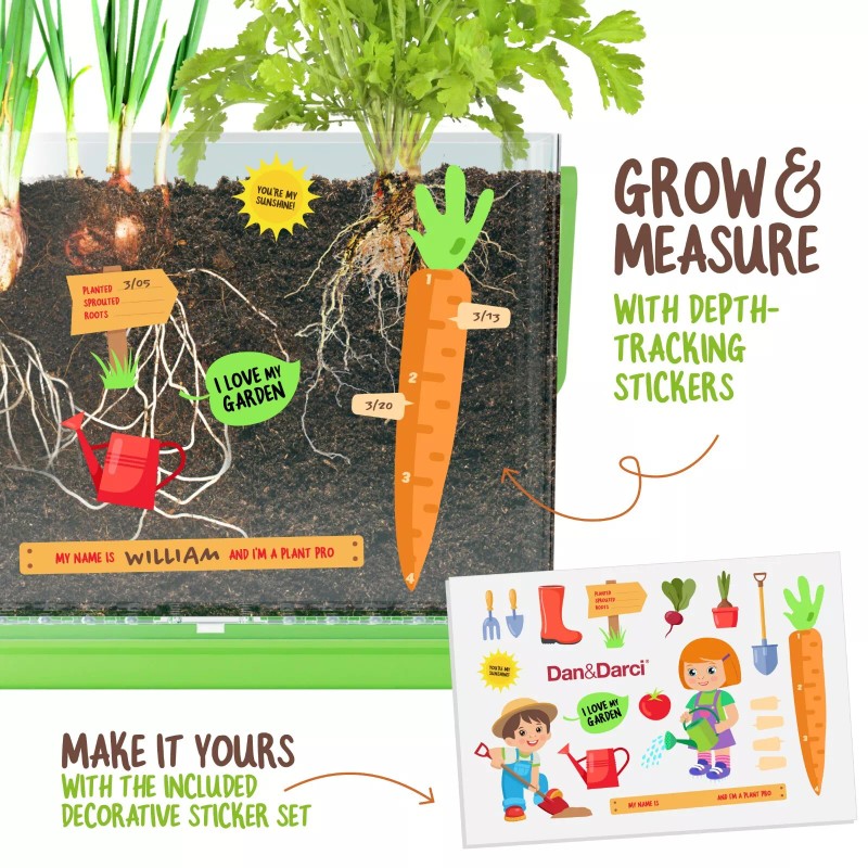 Dan&Darci Root Viewer Kit for Kids - Grow Your Own