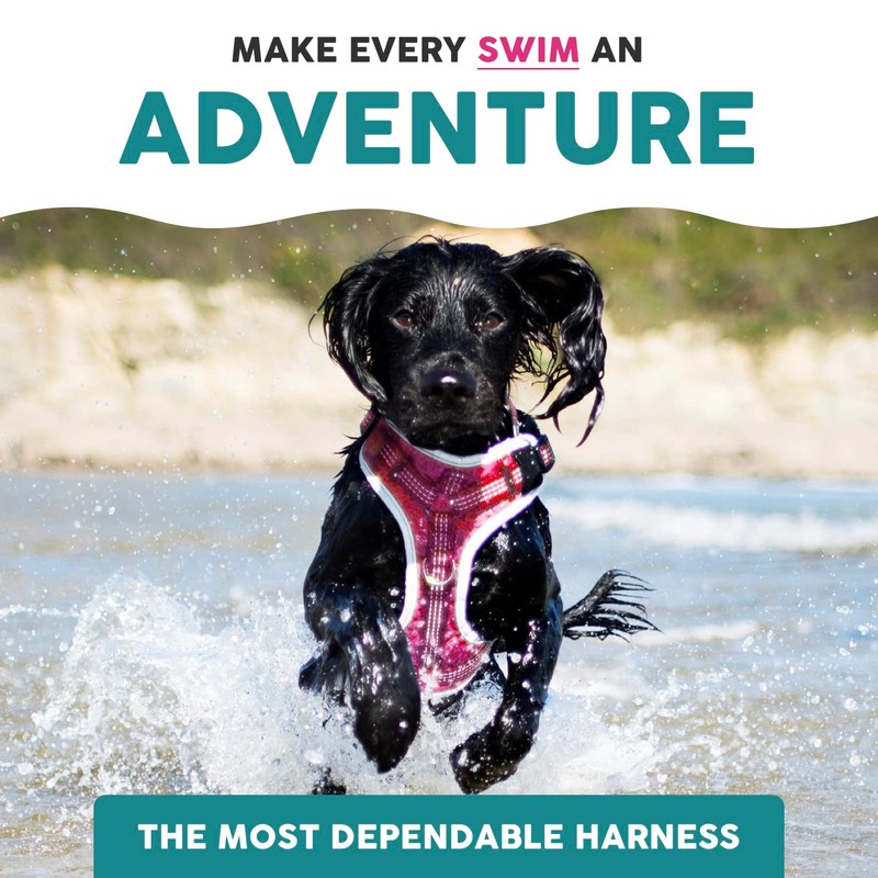 Embark Sports Dog Harness, No Pull Dog Harness with 2