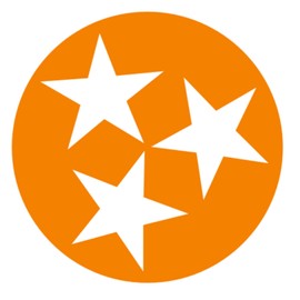 CUSHYSTORE Tennessee Flag State Stars Decal Vinyl Sticker for Motorcycle Hardhat Laptop Mug Tumber Orange 3.75"