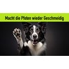 FellBuddies® Paw Balm – Ideal Protection for Sensitive Dogs' Paws