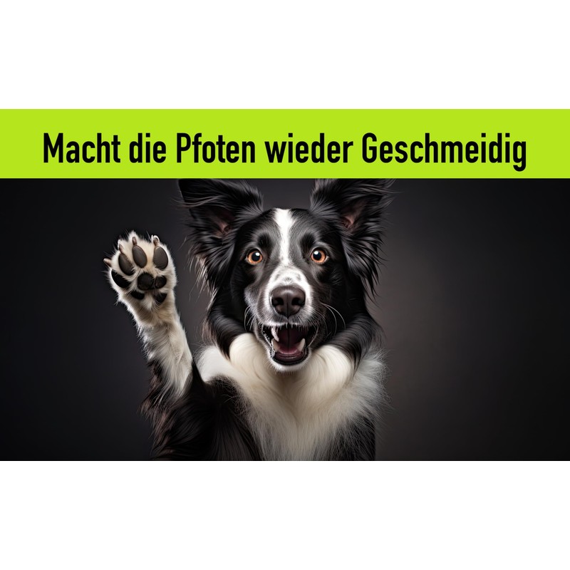 FellBuddies® Paw Balm – Ideal Protection for Sensitive Dogs' Paws