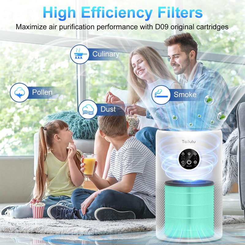 Tailulu D10 Replacement Filter,Air Purifier Filter for Tailulu D10 Air