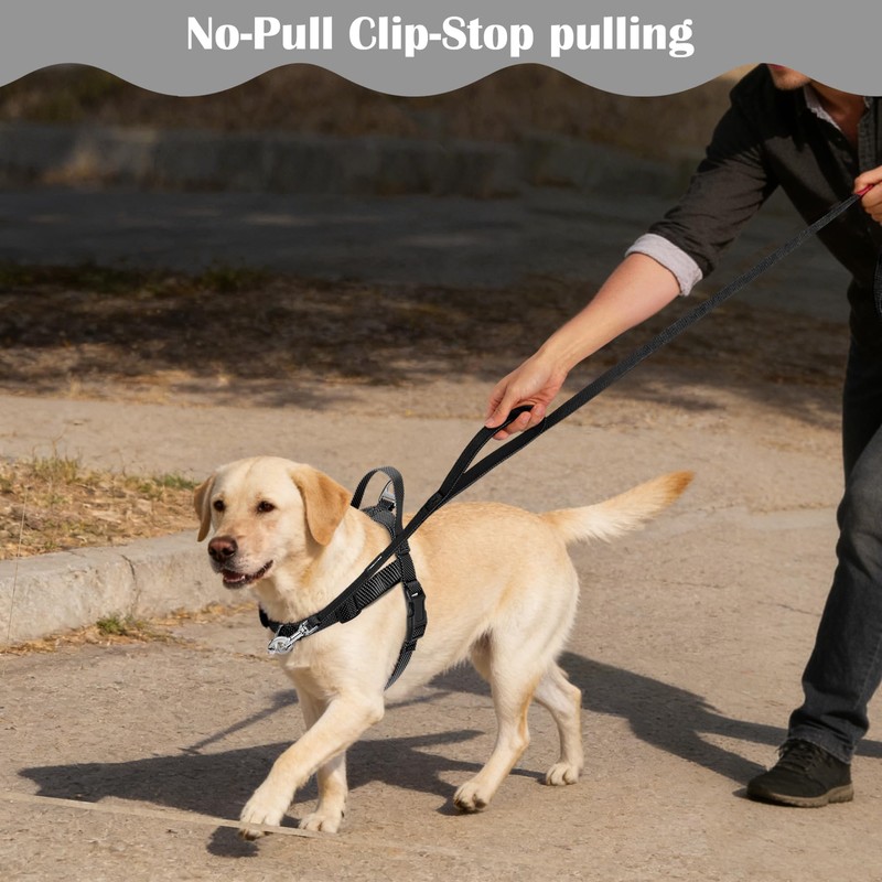 Annchwool No Pull Dog Harness with Front Clip and Easy