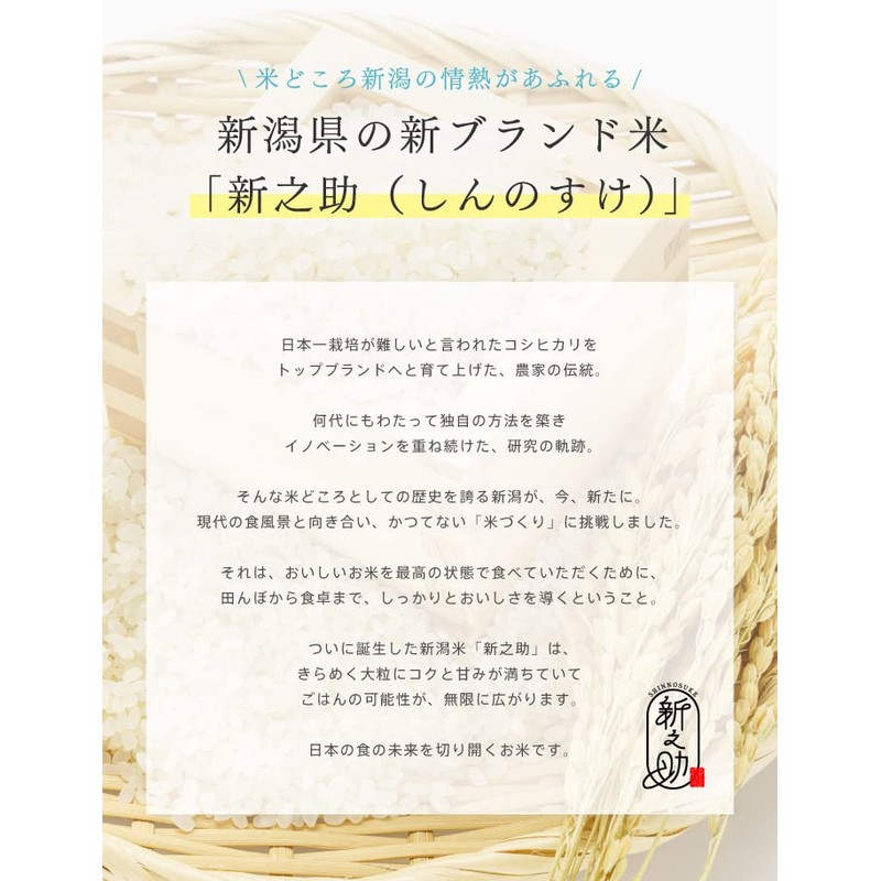 Shinnosuke Nano Bubble Lotion, 3.4 fl oz (100 ml), Rice