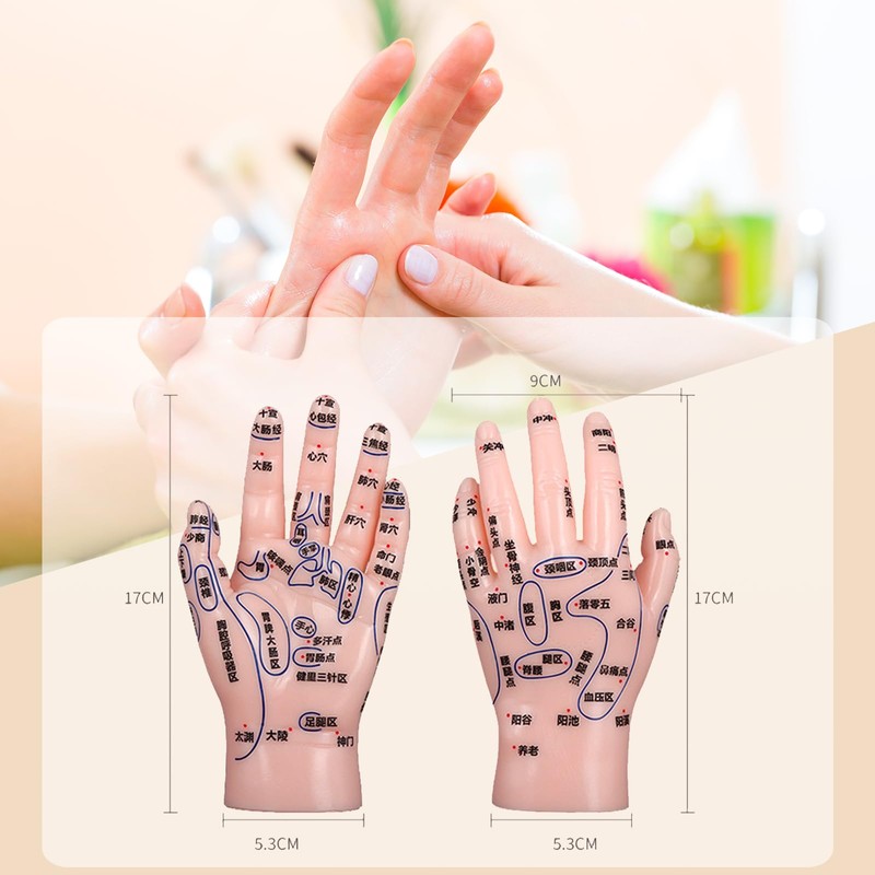 HYEANHLPYE Left Hand Acupuncture Trigger Point Model Anatomy Learning Precision