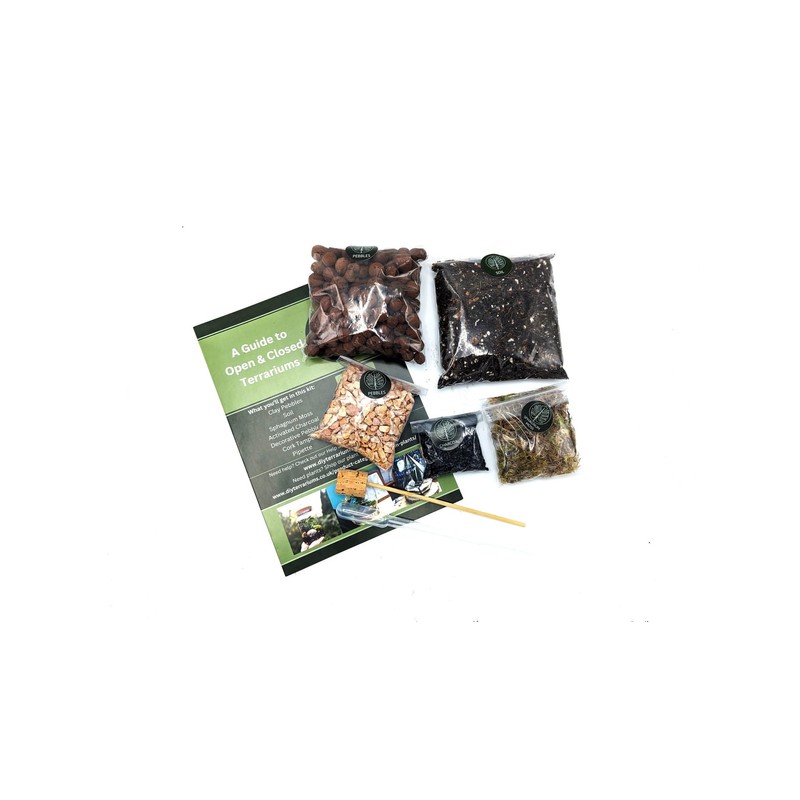 DIY Small Open and Closed Terrarium Kit