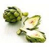Artichoke 20 Seeds for Planting Non-GMO