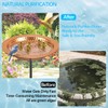 5 Pcs Copper Bath Disk Bird Bath Copper Disk, Copper