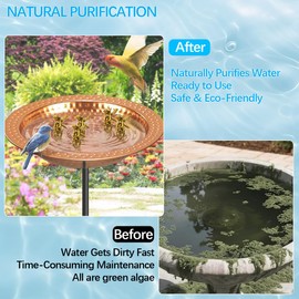 5 Pcs Copper Bath Disk Bird Bath Copper Disk, Copper Cleaning Disk Purification Disks for Physical Safe Clean Water All-Season, Universal Fit for Outdoor Birdbaths, Bowl