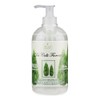 Stainless Reisern Dante The Parcels Florentine Cypress Liquid Soap 500 ml