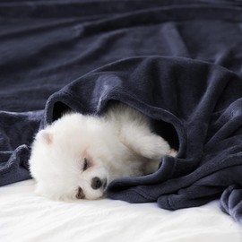 BEAUTEX Fleece Blanket King Size Super Soft Flannel Throw Blanket Lightweight Fuzzy Plush Blanket for Couch Sofa or Bed All Seasons (Navy Blue, 108" x 90")