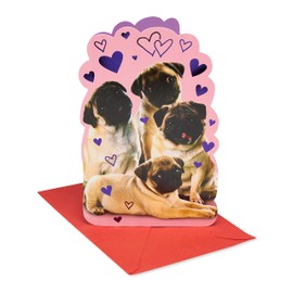American Greetings Valentines Day Card (Pugs and Kisses)