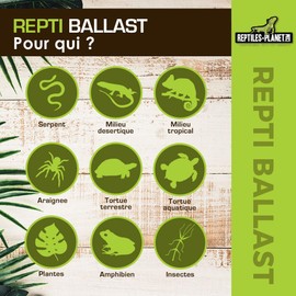 Reptile Planet Lighting Repti Ballast T5 54w