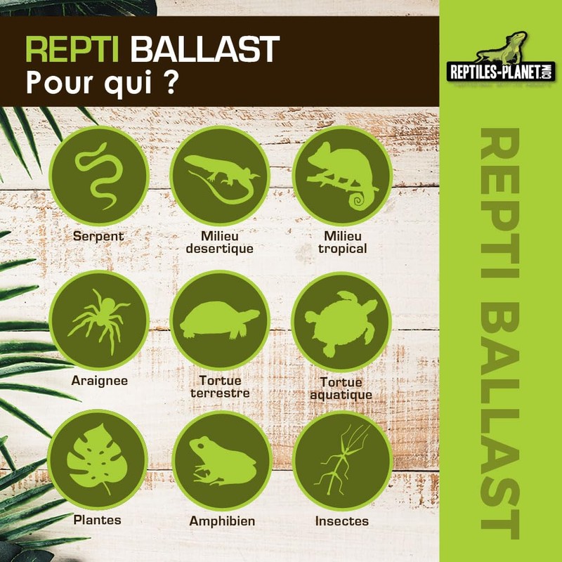 Reptile Planet Lighting Repti Ballast T5 54w