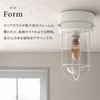 Bon Furniture Ceiling Light, Small Ceiling Light, Indoor Marine Lamp,