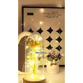 Tira De Led Ambiental Tipo Guirnalda Exterior 10metros Usb