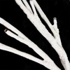 60cm Tree Light Decorative Light LED Light Silver Birch Light