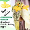 Pack of 2 Parrot Harness with Lead, Adjustable Bird Harness,