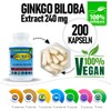 Seuren Nutrients | Ginkgo Biloba 12000 mg 200 Kapseln |