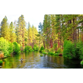 The Fly Fishing Place Parachute Blue Winged Olive BWO Assortment Trout Dry Fly Fishing Flies - Set of 12 Flies Size 14, 16, 18, 20 - One Dozen