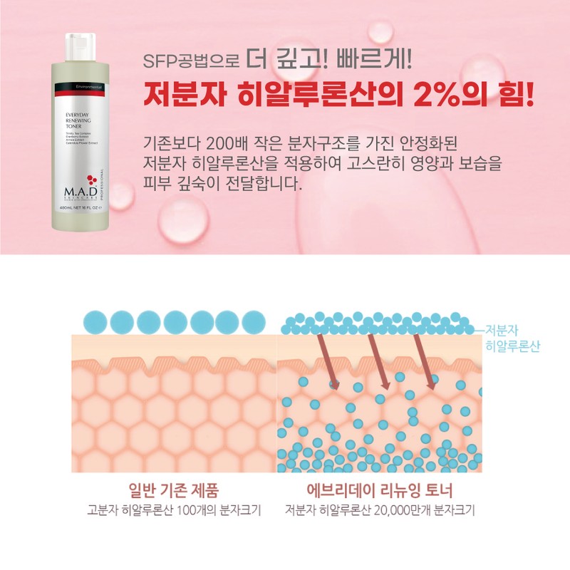 Mad Skin Care Everyday Renewing Toner 480ml / 매드스킨케어 에브리데이