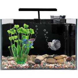 HEURYTEP Betta Fish Tank, 2.5 Gallon Nano Nature Aquarium Starter Kit, Ultra-Clear Rimless Desktop Fish Tank with Light, Filter, Gravel and Rock, Aquarium Perfect for Small Fishes, Black