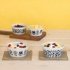 Minorutouki Small Pottery Plantary Flower Ring, Kuresu, 16.5 fl oz