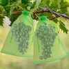 Fruit Protection Netting Bags, 7.87 * 11.81in 30Pcs Reusable Fruit