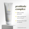 Drybar Crown Tonic Pre-Shampoo Scalp-Balancing Cleanser