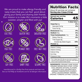 YumEarth Assorted Organic Lollipops 40 Count Vegan Gluten Free Allergy Friendly Treats