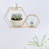 Wall Mounted No Punch Shelves Display Storage Rack Home Office